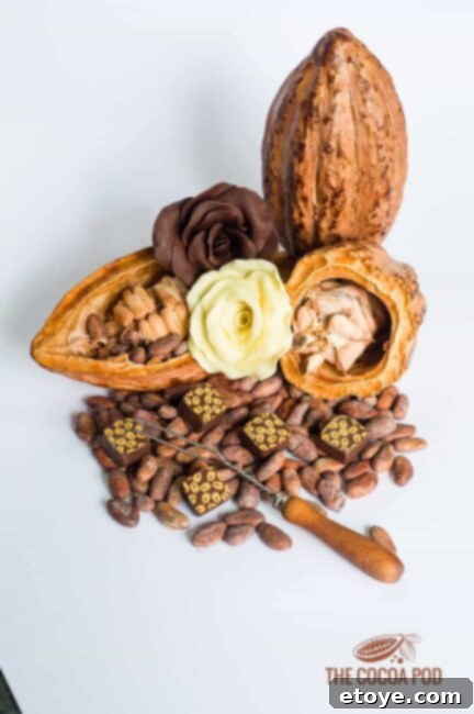 Unlock $75 of Cocoa Pod Delights 1 featured 40899