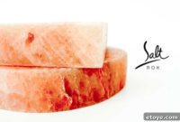 Salt Rox Himalayan Salt Honest Review and Giveaway