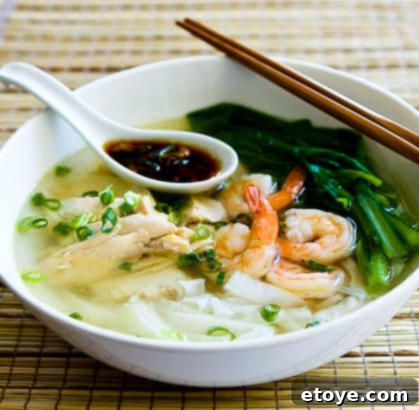 Malaysian Chicken Noodle Soup with Fresh Asian Greens and Spicy Chili Soy Sauce 1 featured 4128