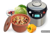 Unlock Healthier Meals: VitaClay Smart Organic Cooker Review and Win It