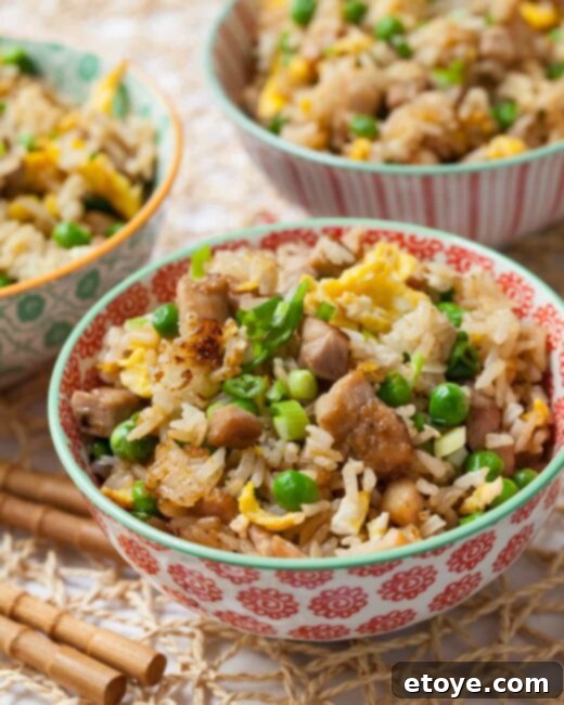 Flavorful Chicken Fried Rice 1 featured 41853