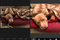 Adobe Photoshop Fix & Lightroom Mobile