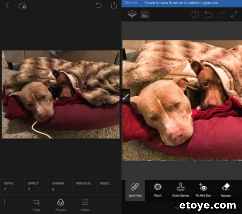 Adobe Photoshop Fix & Lightroom Mobile 1 featured 41882