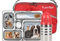 Planetbox Lunchbox: Our Full Review & An Exciting Giveaway