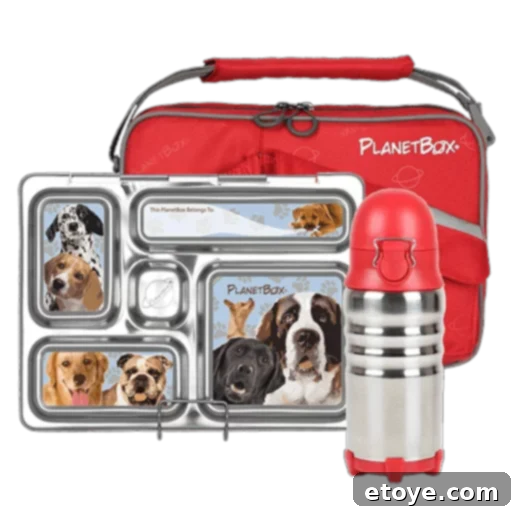 Planetbox Lunchbox: Our Full Review & An Exciting Giveaway 1 featured 42137