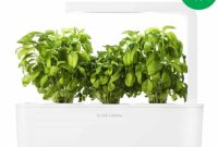 Click & Grow Smart Garden: Full Review and Giveaway