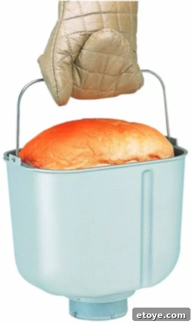 Top-Selling Bread Maker Savings 1 featured 42644