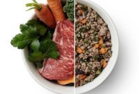 The Farmer’s Dog: Our Honest Review and a $100 Giveaway