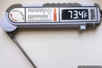 Maverick Pro Temp PT 100 Thermometer Full Review and Giveaway