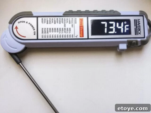 Maverick Pro Temp PT 100 Thermometer Full Review and Giveaway 1 featured 43462