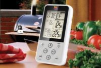 Master Your Grill: Maverick Wireless Thermometer Giveaway