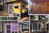 Inspiring Chicken Coops from Our Readers