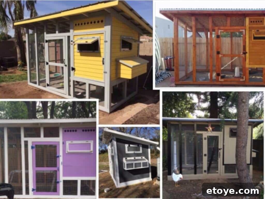 Inspiring Chicken Coops from Our Readers 1 featured 43978