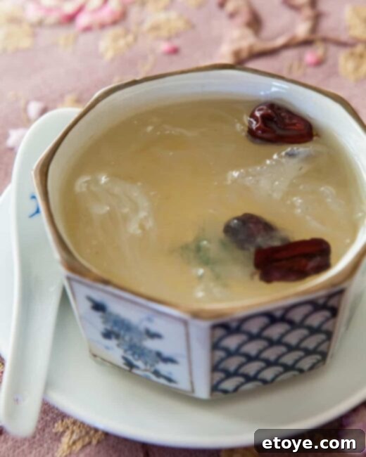 Exquisite Chinese Bird's Nest Soup 1 featured 44260