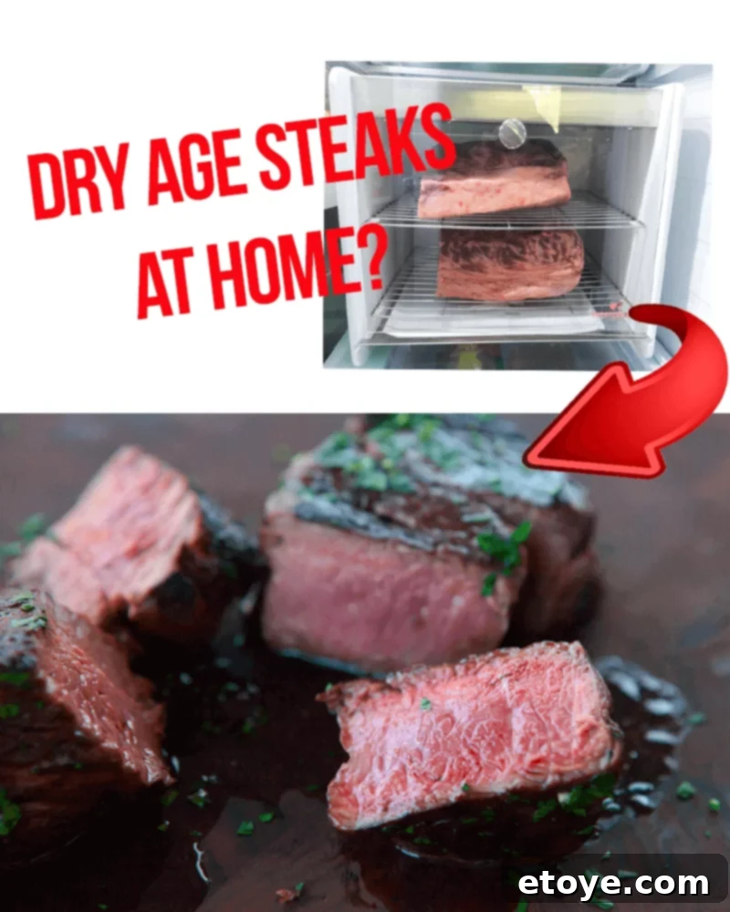 SteakAger Review Plus Win One 1 featured 44598