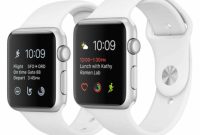 Steamy Kitchen’s Grand Apple Watch Prize