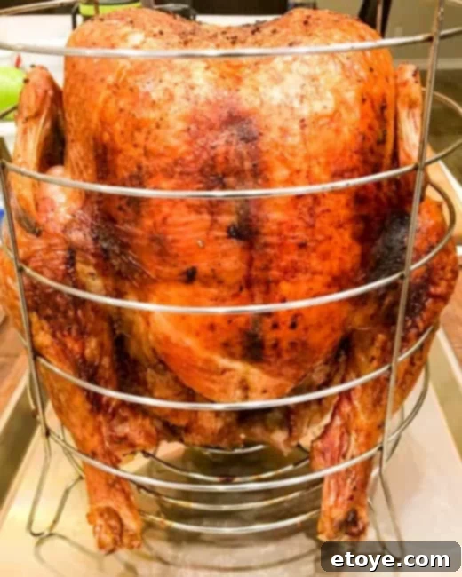 Crispy Oil-Free Turkey 1 featured 45354