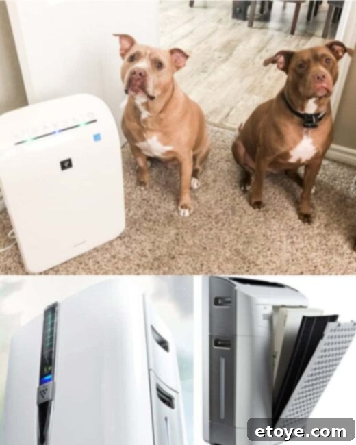 Sleep Better, Breathe Cleaner: A Sharp Air Purifier Review and Giveaway 1 featured 45662