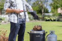 Unlock Flavor Without Oil: Char-Broil Big Easy Giveaway