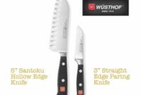 Wüsthof 2-Piece Mini Asian Knife Set Review and Giveaway