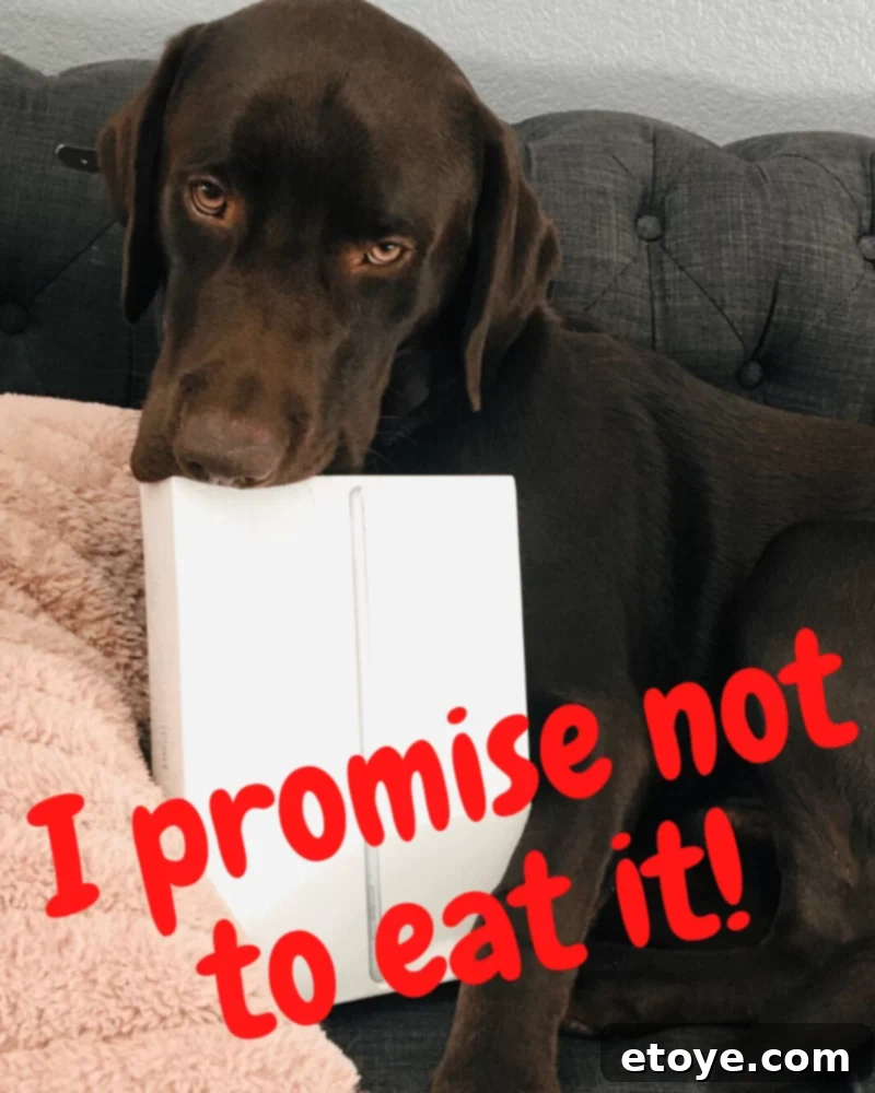 Win an Apple iPad 1 featured 49534