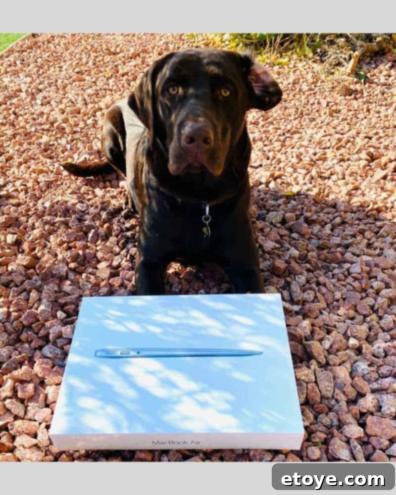 Win an Apple MacBook Air 1 featured 49638