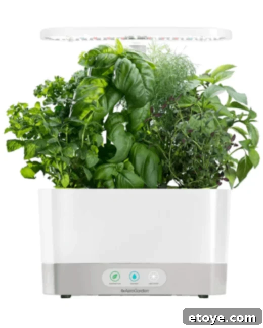 Grow Your Own Fresh Herbs AeroGarden Giveaway 1 featured 52362