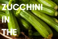 Quick Microwave Zucchini