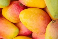 Slice a Mango Like a Pro