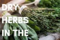 Quick Microwave Herb Drying