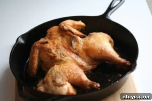 Lemony Artichoke Roast Chicken 1 featured 55