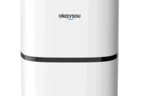 Okaysou Air Purifier: Is It Worth It? Plus a Giveaway