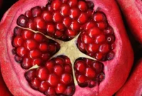 Pomegranate Seed Essentials