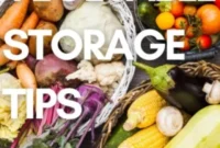 Store Vegetables for Maximum Freshness