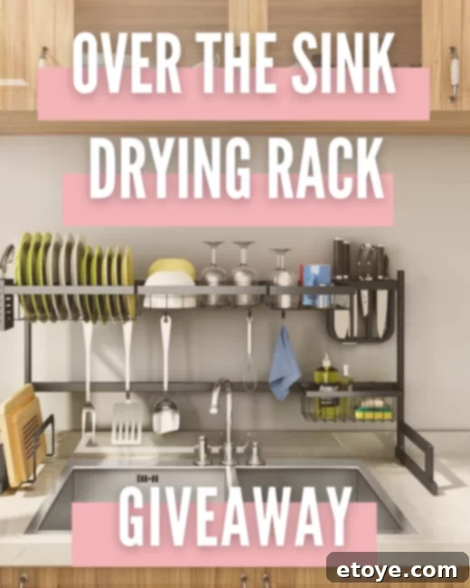 Win an Over The Sink Dish Drying Rack 1 featured 59768