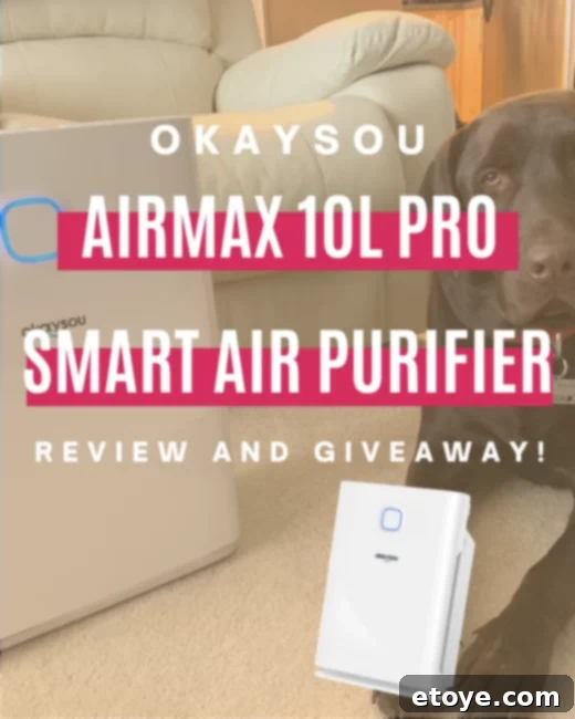 Okaysou AirMax10L Pro Smart Air Purifier Review and Win 1 featured 61325