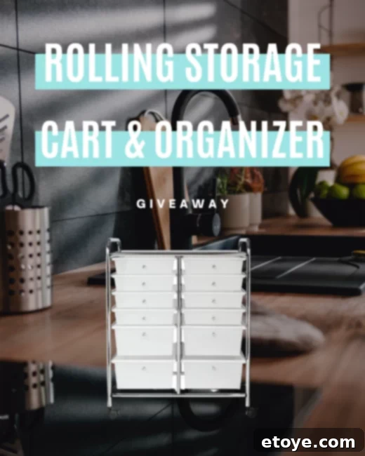 Honey-Can-Do Rolling Storage Solution Giveaway 1 featured 61358