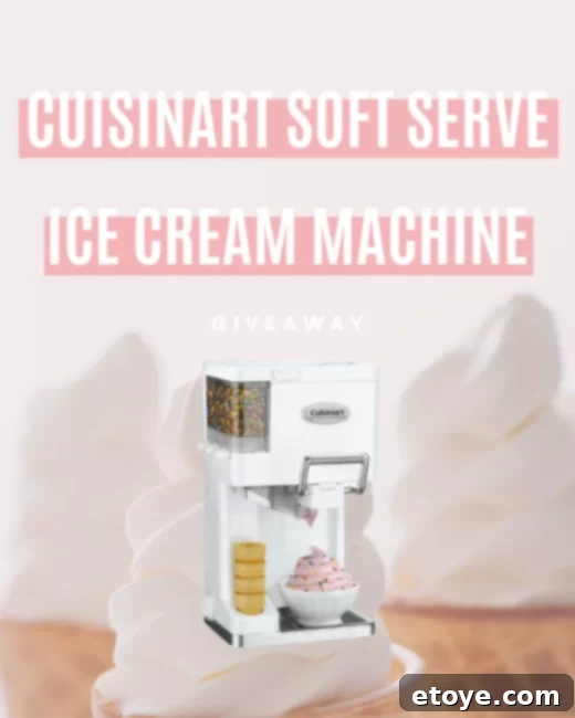 Win Your Own Cuisinart Soft Serve Ice Cream Maker 1 featured 61820