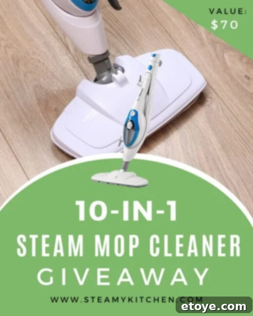 Amazing Ten in One Steam Mop Cleaner Giveaway 1 featured 62241
