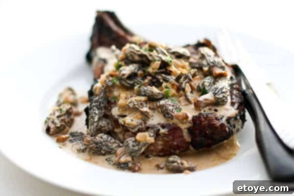 Steak with Spirited Mushroom Crème 1 featured 7069