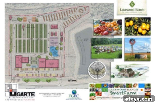 The Master Plan 1 featured 9975