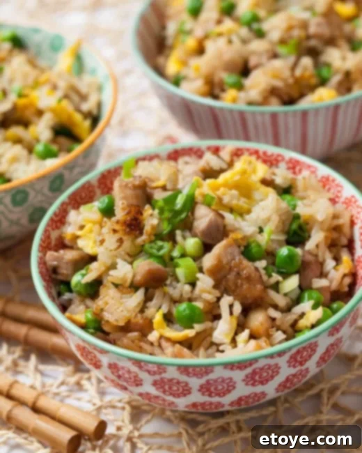 Score a New Rice Cooker 2 Delicious Chicken Fried Rice prepared in a kitchen