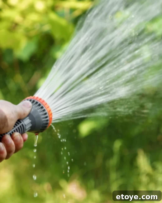 Epic Paddle Board Sweepstakes 6 Kids playing water limbo with a hose stream as the 'bar'