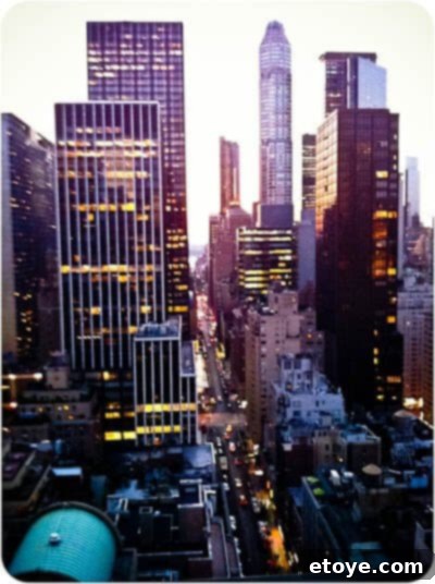 Elise Bauer at BlogHer event