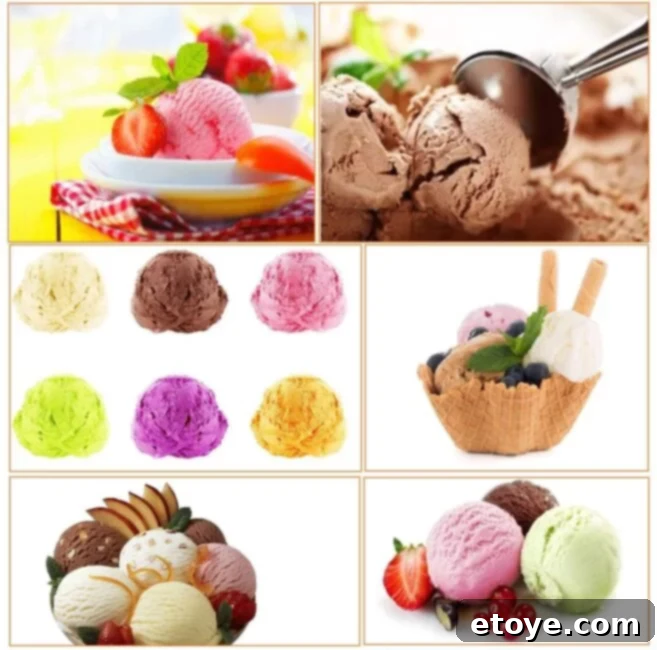 Win Instant Kitchen Upgrades 10 Cookie Scoop Set