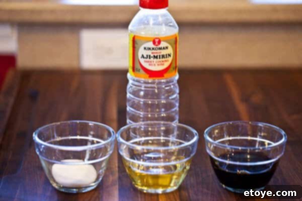 Close-up of freshly prepared homemade teriyaki sauce with sweet rice wine, soy sauce, and sugar