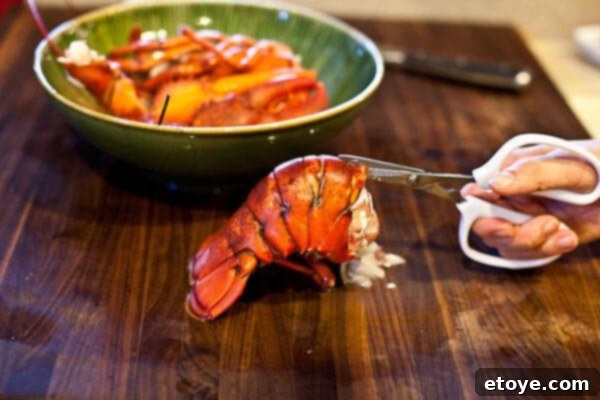 lobster tail being prepared with kitchen shears