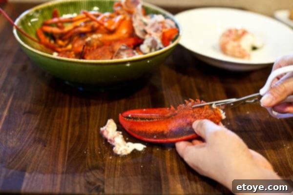cutting lobster claw with shears