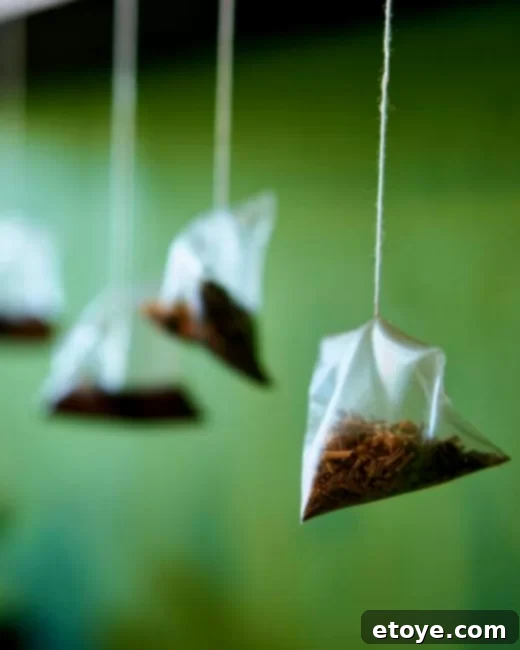 Assortment of Zest Tea products including loose leaf, tea bags, and sparkling cans