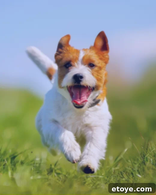 PayPal Instant Wins: Good Vibes Edition 8 A diverse group of people interacting harmoniously, symbolizing understanding, acceptance, and non-judgment in a community setting.